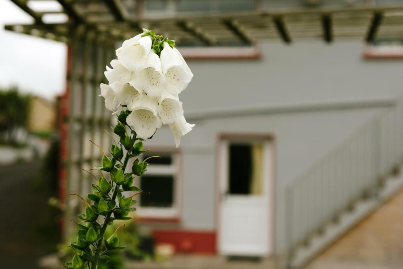 Eagle Heights Bed & Breakfast Enniscrone Exterior foto
